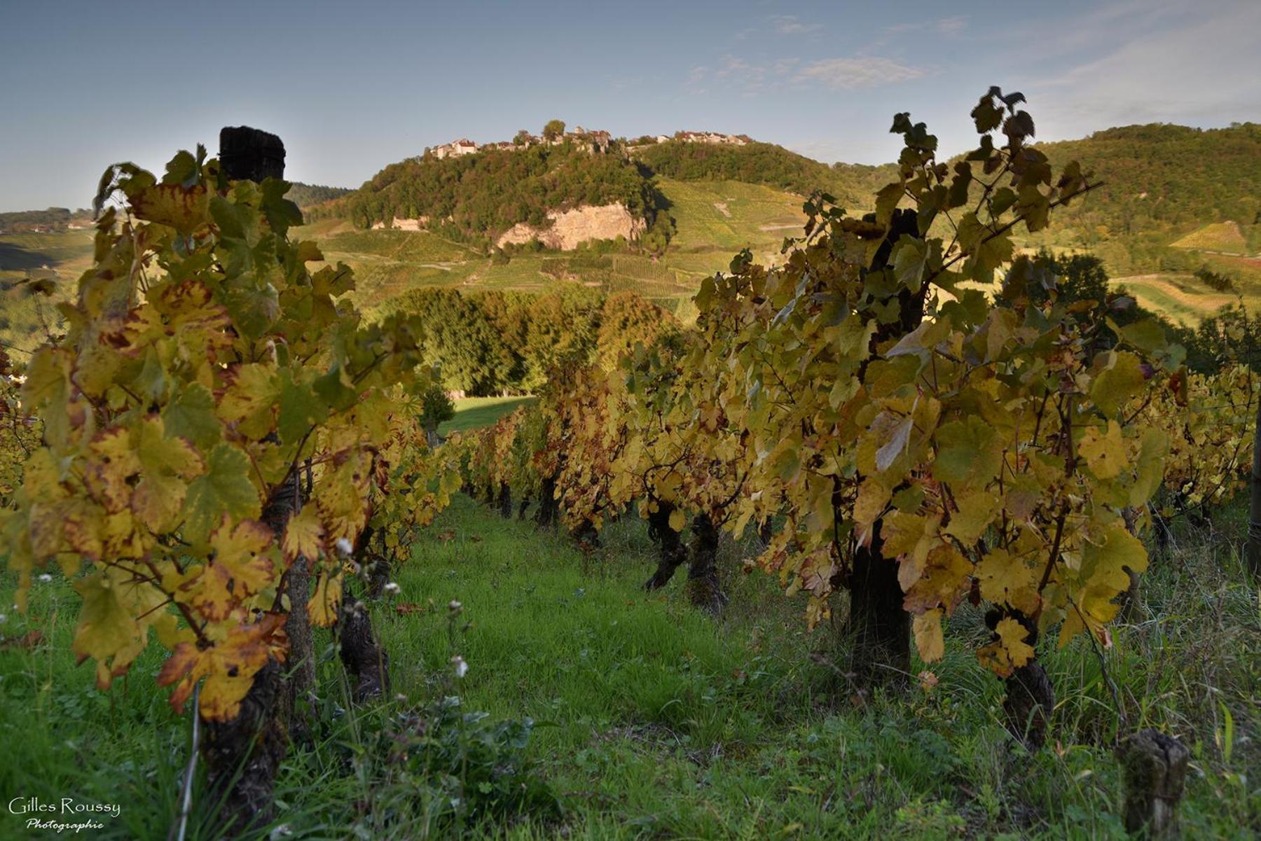 Gite Le Douglas, Vignoble Et Reculees Du Jura - Avec Sauna Lavigny Экстерьер фото